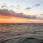 金马奖红毯时刻:明星们的时尚与风采展示 3q6mt